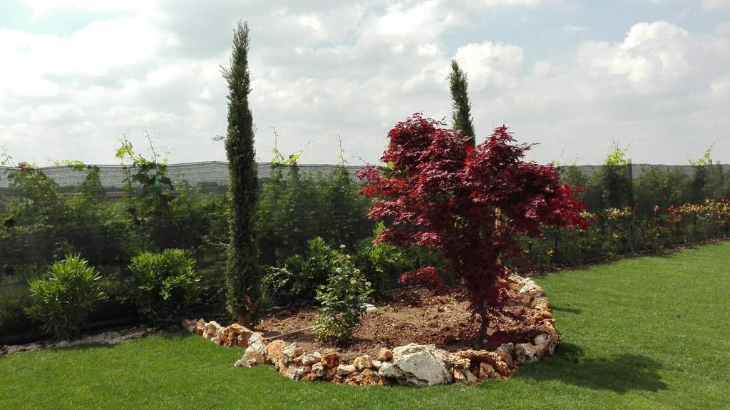 Agriturismo Pigno Villafranca di Verona Extérieur photo
